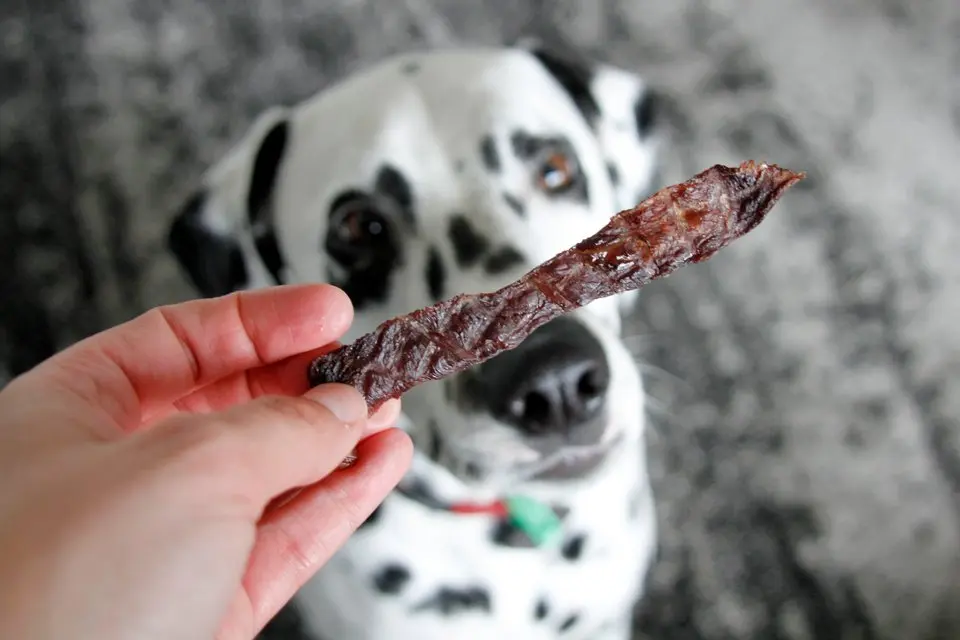 blackstrap beef jerky dog treat recipe