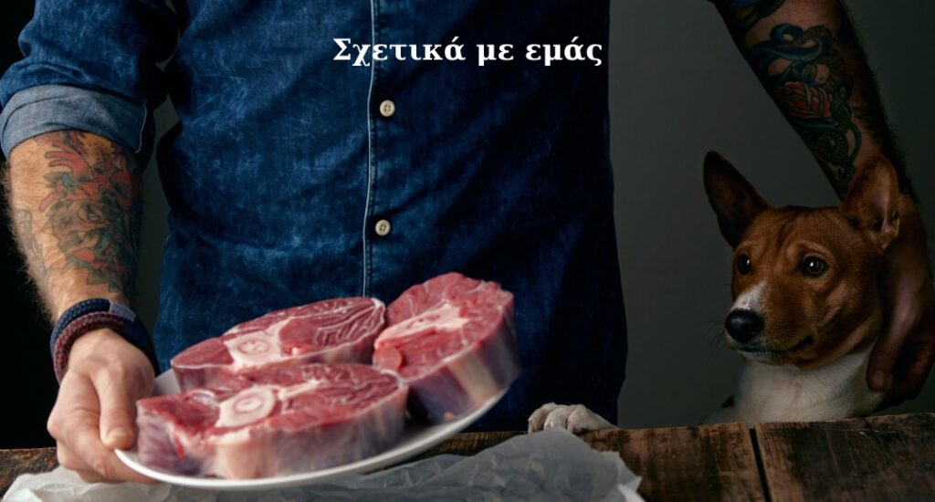Σχετικά με εμάς(1)