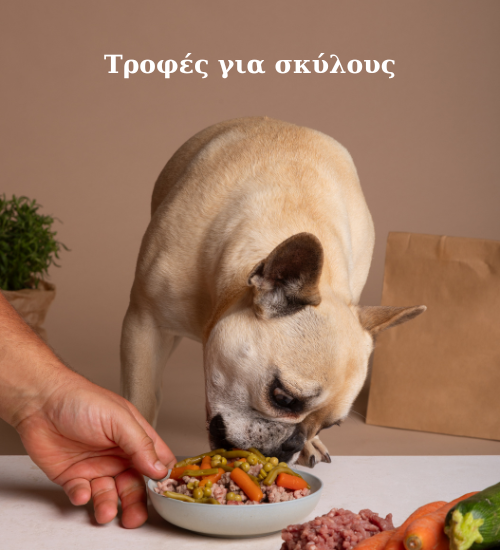 Τροφές για γάτες(13)
