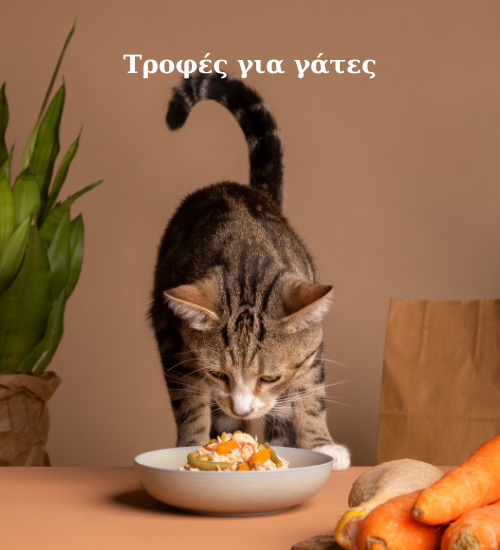 Τροφές για γάτες(14)
